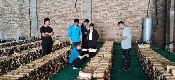 图片1.png 图片1.png